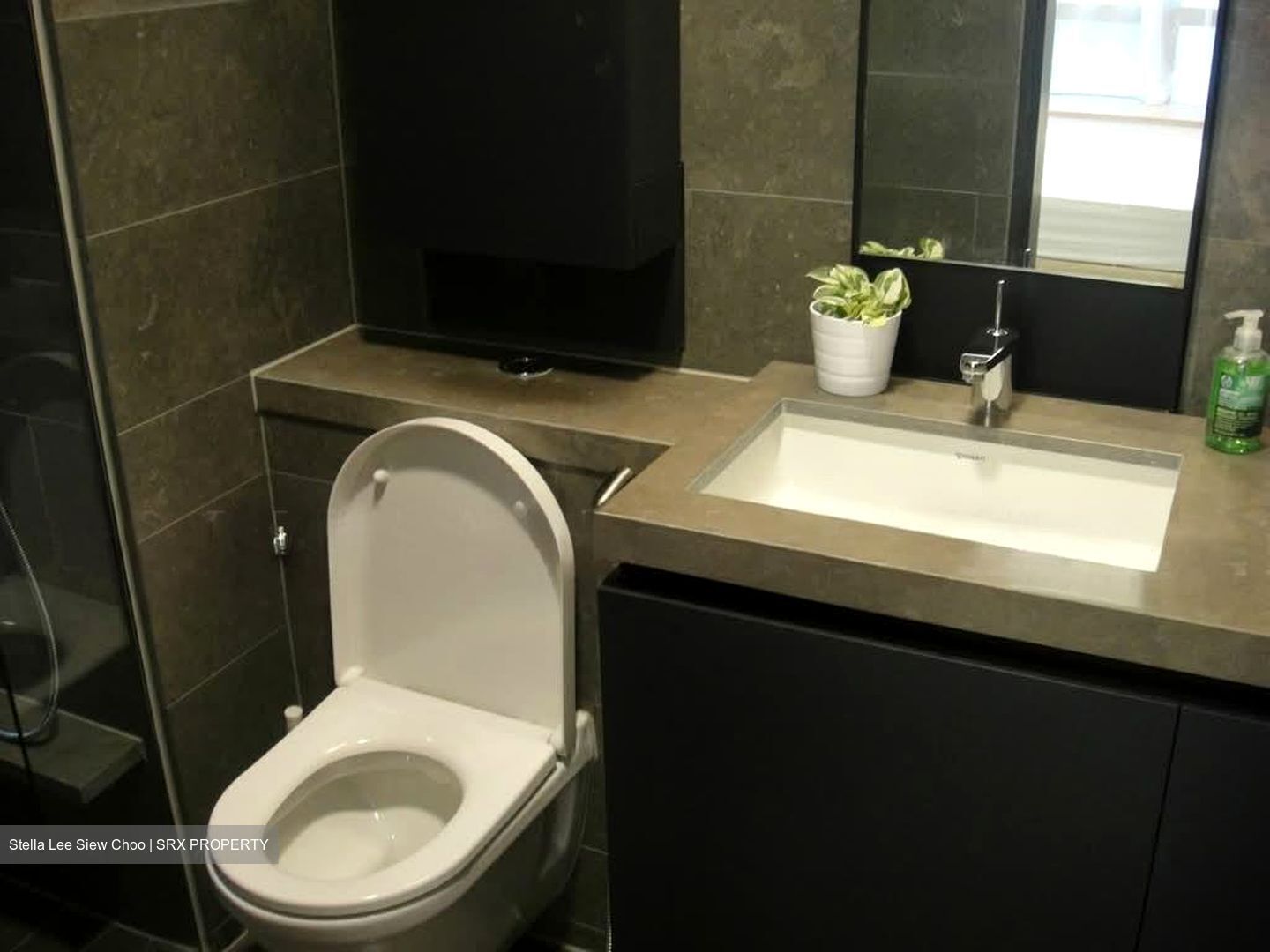 Skysuites@Anson (D2), Apartment #549769821